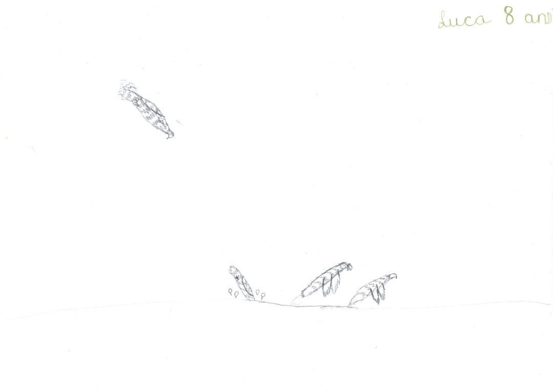 Concours dessin 02. 2025 – Luca 8 ans