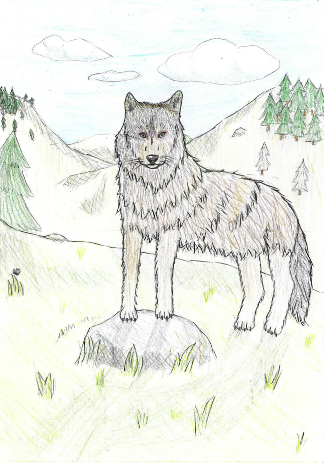 Concours dessin 02. 2025 – Lucie 13 ans