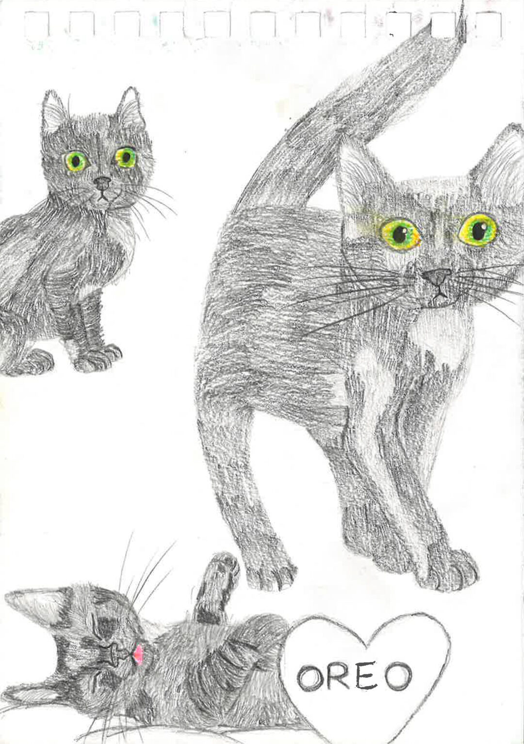 Concours dessin 02. 2025 – Nylah 15 ans