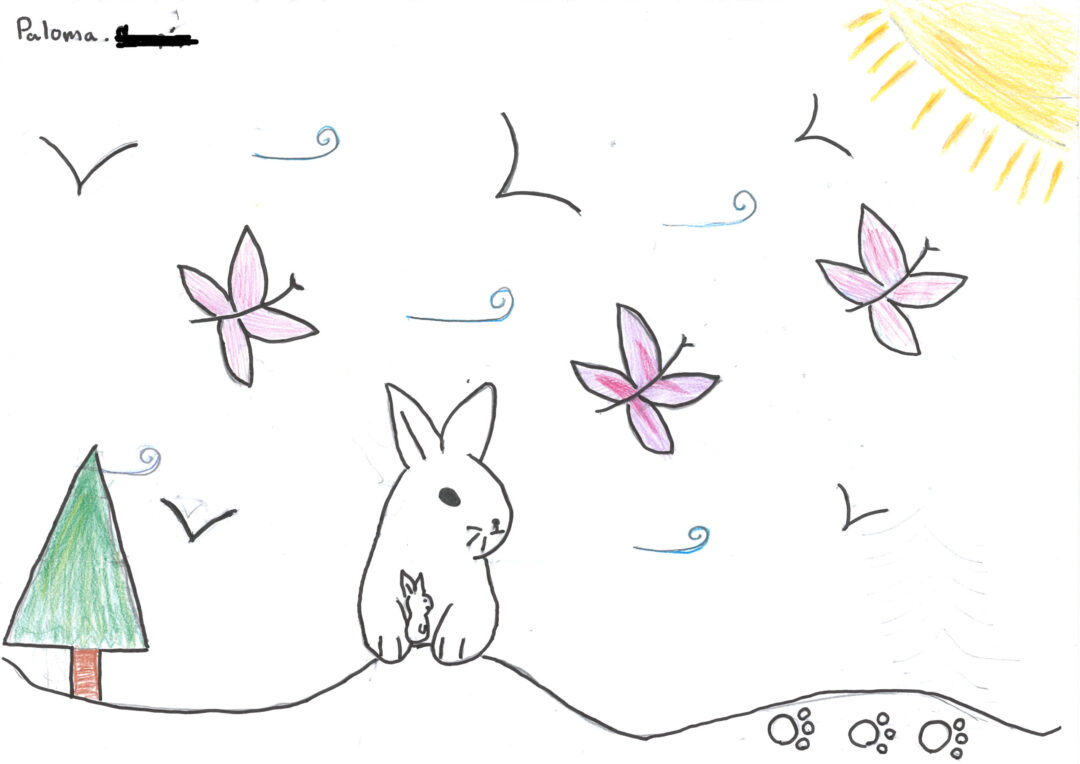 Concours dessin 02. 2025 – Paloma