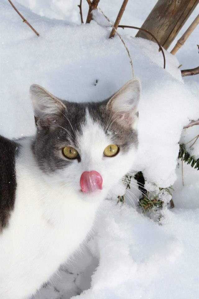 Photo de Johan et Norah