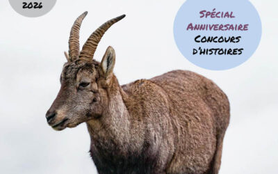 Nouvelle édition février 2026