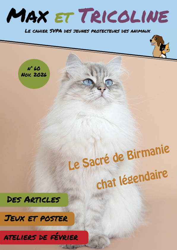 Le prochain numéro de ton cahier est en route !